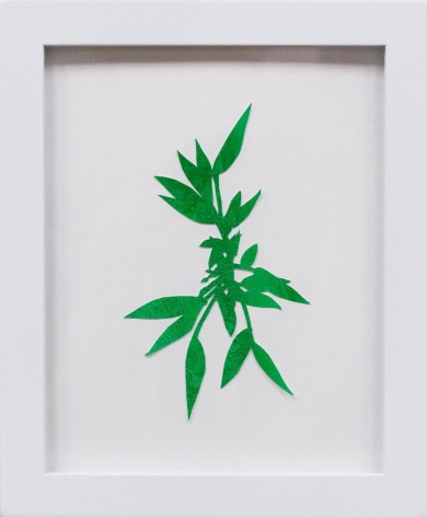 Hannah Cole  Crabgrass #5, 2018  watercolor on cut paper  Framed: 10h x 8w in 25.40h x 20.32w cm  HC_056