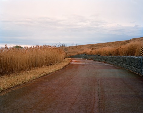 Photograph of a red, rust colored road leading into the distance with high, brown grass to the left and Gabion Walls on the right, Freshkills, NYC