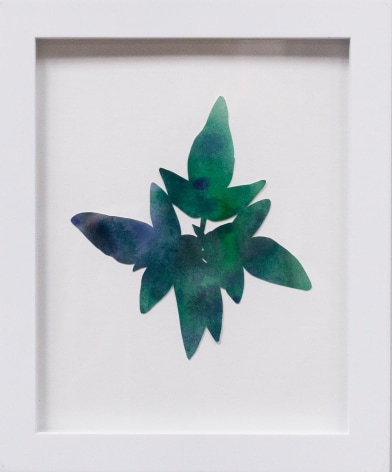 Hannah Cole  Little Green and Purple Weed, 2018  watercolor on cut paper  Framed: 10h x 8w in 25.40h x 20.32w cm  HC_050