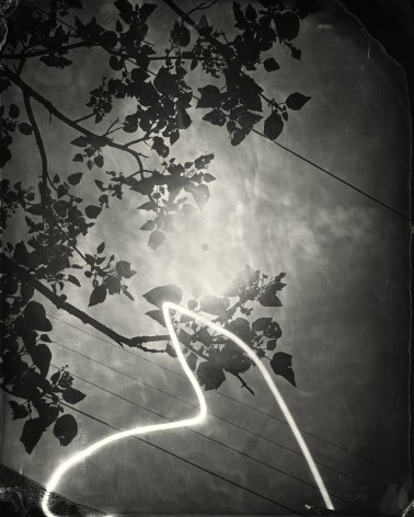 Black and white landscape tintype photograph