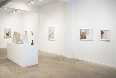 Gallery installation view of Sandi Haber Fifield and Laura Letinsky