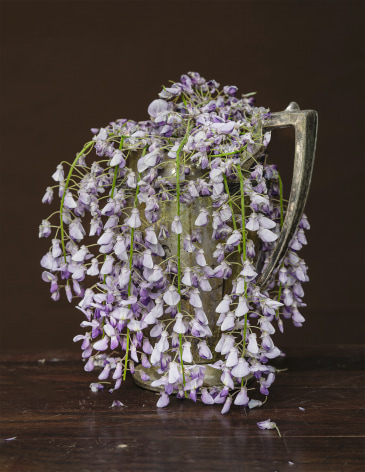 Still life photograph of flowers