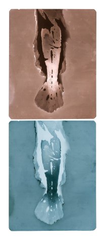 Two images of a fish tail. The one on top is sepia toned and the one on the bottom is light indigo.