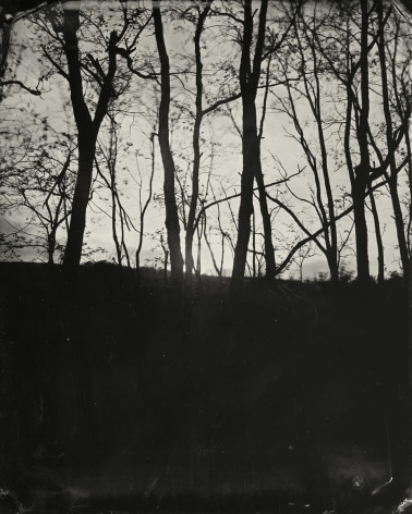 Black and white landscape tintype photograph