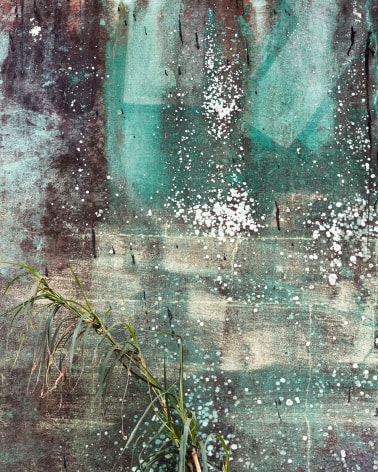 Efflorescence, 2020  Archival pigment print  32 x 40 inches  Edition of 5, concrete wall with swathes of blue, efflorescence, and a green plant in the lower left corner