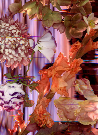 floral still life made on a flatbed scanner, areas of digital interruptions are present