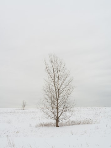 Jade Doskow  Volunteer Trees, Winter, 2021  Archival pigment print  40h x 30w in 101.60h x 76.20w cm, white monochromatic snowy landscape with a lone, bare tree as the central figure