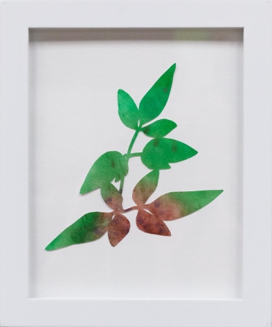Hannah Cole  Dancing Weed, 2018  watercolor on cut paper  Framed: 10h x 8w in 25.40h x 20.32w cm  HC_061