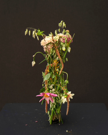 Still life photograph of flowers