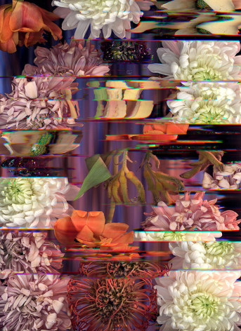 various flowers (mums, tulips and peonies)  arranged on a flatbed scanner with technical glitches, colors include red, orange and mauve