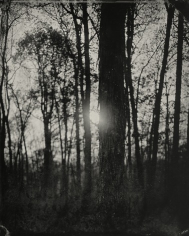 Black and white landscape tintype photograph