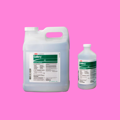 Pink background with two bottles of Dow Specialty Herbicide, square background.