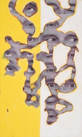 Randy Shull  Yellow Gaze, 2019  inkjet, acrylic on panel  53h x 32w in