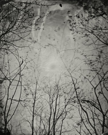 Black and white landscape tintype photograph