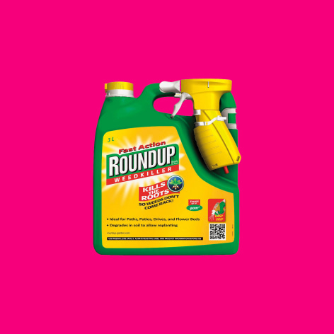 Image of pesticide bottle with bright pink backdrop by Kirsten Stolle