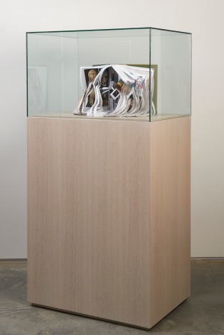 Vitrine with dissected Janson art history book, by Kirsten Stolle