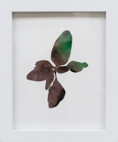 Hannah Cole  Little Purple Weed, 2018  watercolor on cut paper  Framed: 10h x 8w in 25.40h x 20.32w cm  HC_039