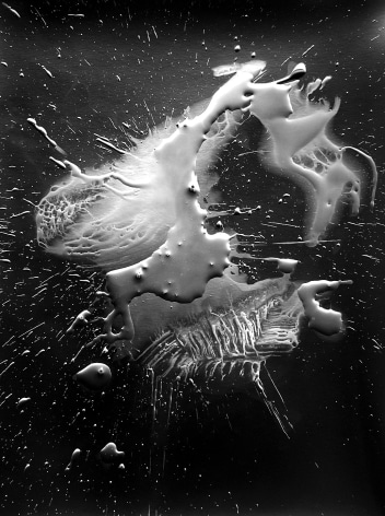 Ben Nixon  Space Anatomy, 2017  unique silver gelatin photogram  12 5/8h x 10 1/8w in   Framed: 12 5/8h x 10 1/8w in. an energetic patter of silver emanating from the center of a black surface