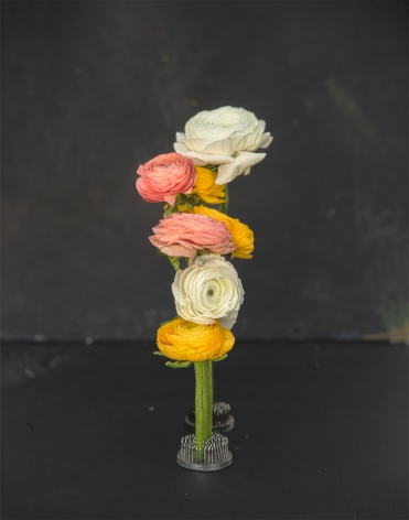 Still life floral arrangement by James Henkel