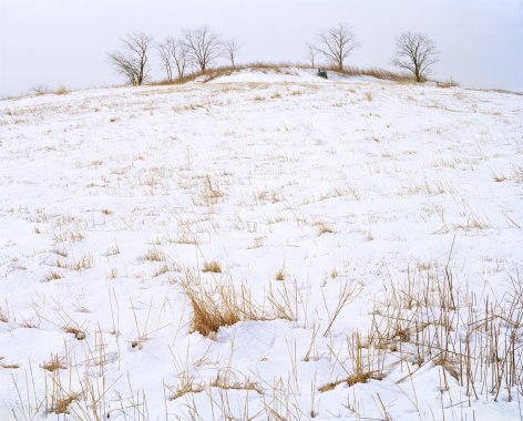 North Mound, Winter, Freshkills, NYC, 2019. Photograph of the North Mound in Winter, four bare trees at the top of the mound.