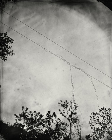 Black and white landscape tintype photograph