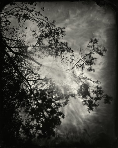 Black and white landscape tintype photograph