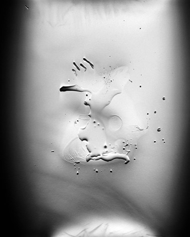 Ben Nixon  The Watcher, 2015  unique silver gelatin photogram  20h x 16w in, Abstract, black &amp; white photogram