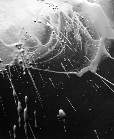 Ben Nixon  Afterglow, 2015  unique silver gelatin photogram  5h x 4w in   Framed: 17h x 14w in. a greyscale photogram with with droplets of a lighter liquid radiating from the top left