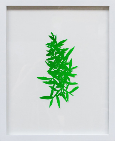 Hannah Cole  Florida Grass, 2018  watercolor on cut paper  Framed: 20h x 16w in 50.80h x 40.64w cm  HC_062