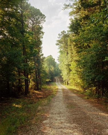 Vertical photograph of a wooded driveway in summer, lush foliage with dark greens. The dirt road is covered in rust colored pine needles
