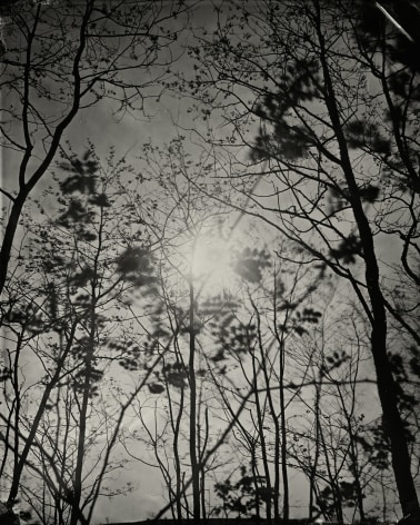 Black and white landscape tintype photograph