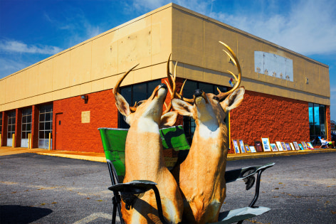 Two deer heads in camping chair in parking lot of abandoned store