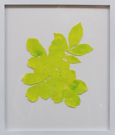 Hannah Cole  Untitled Yellow Weed, 2018  watercolor on cut paper  Framed: 24h x 20w in 60.96h x 50.80w cm  HC_046