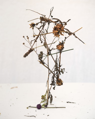 still life of dried weeds in a vertical composition