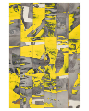 Randy Shull  Sunflower Eyes, 2019  inkjet, acrylic on panel  40h x 28w in