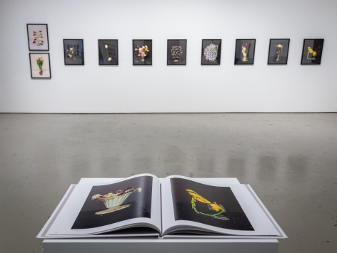 Back wall installation image of ten floral still lives