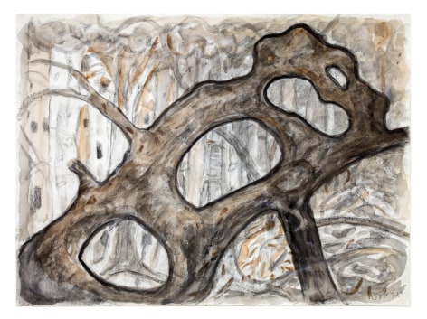 Gerald van de Wiele  The Arc of Time, 2019  Watercolor and charcoal on paper  18h x 24w in, horizontal watercolor on paper, in charcoal, black and grey of and abstract tree