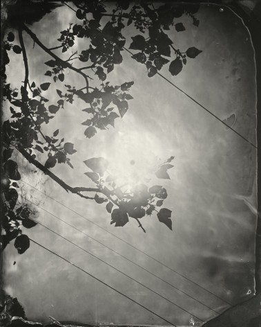 Black and white landscape tintype photograph