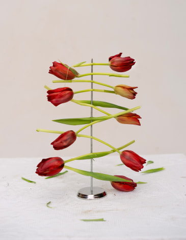 Still life photograph of flowers on spindle