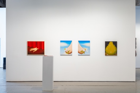 Installation view