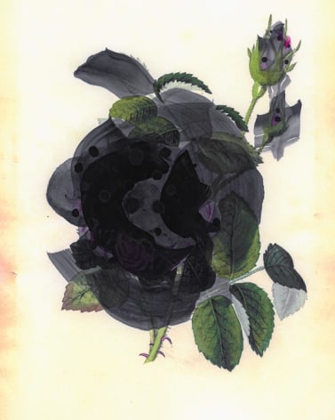 Photograph of flower with hand painting, by James Henkel