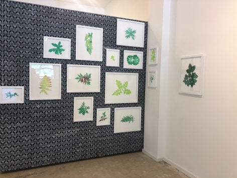 Growth, 2019  Two-sided wall installation with hand-stenciled wall (right wall)  32 framed watercolors on cut paper
