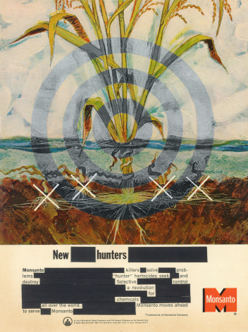 New Hunters, 2022  Collage on 1965 Monsanto magazine advertisement  11 x 8 inches (paper size), image of a corn plant with a painted bullseye, collage and redacted text