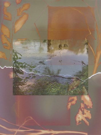 Background has soft colors that are muted with plant flora. There is a horizontal rectangle layered on top of the image that is a reflective landscape of the water.