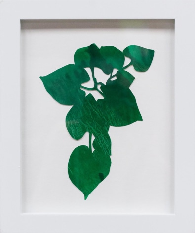 Hannah Cole  Dark Green Heart Weed, 2018  watercolor on cut paper  Framed: 10h x 8w in 25.40h x 20.32w cm  HC_040