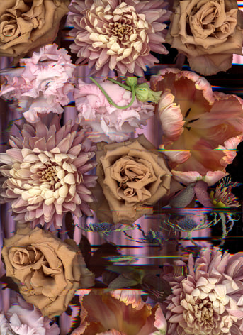 arrangement of various flowers such as rose, peonies and carnations on a flatbed scanner, colors include mauve, pink and purple