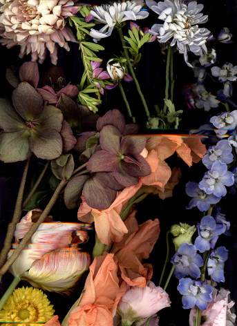 photograph of a cluster of various flowers in different colors on a flat bed scanner