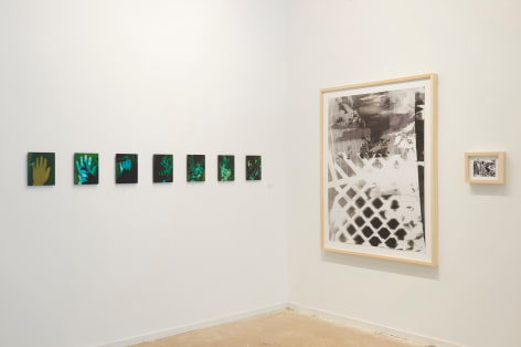 Installation view Palm Fade (Self Portrait in a Garden) and Shot/Reverse Shot, Studio Gardening at Night #2, July 26, 2020
