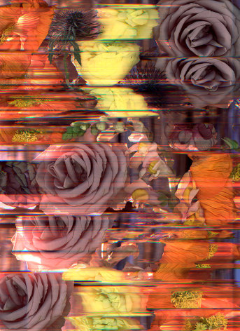 various flowers arranged on a flatbed scanner with technical glitches/pixelations. Colors include dark purple, orange, red and yellow