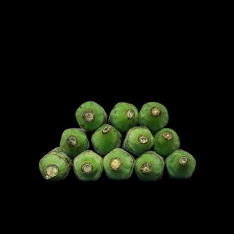 Gesche W&uuml;rfel  Okra, (Mordecai Plantation), 2016  Archival Pigment Print  8h x 8w in 20.32h x 20.32w cm  Edition of 5, Photograph, Stack of green okra Black background